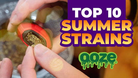 Top 10 Summer Strains