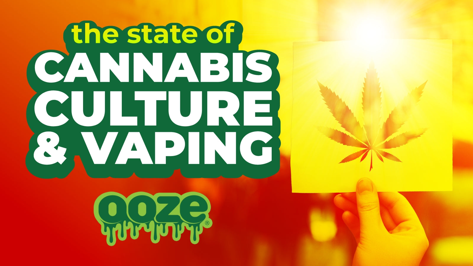 The State of Cannabis Culture and Vaping